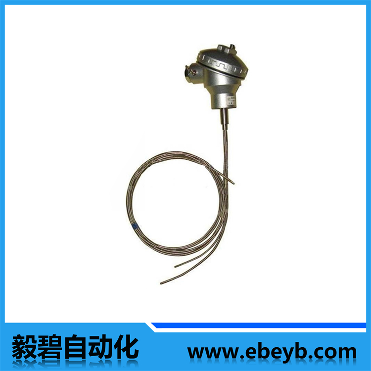 多點熱電偶